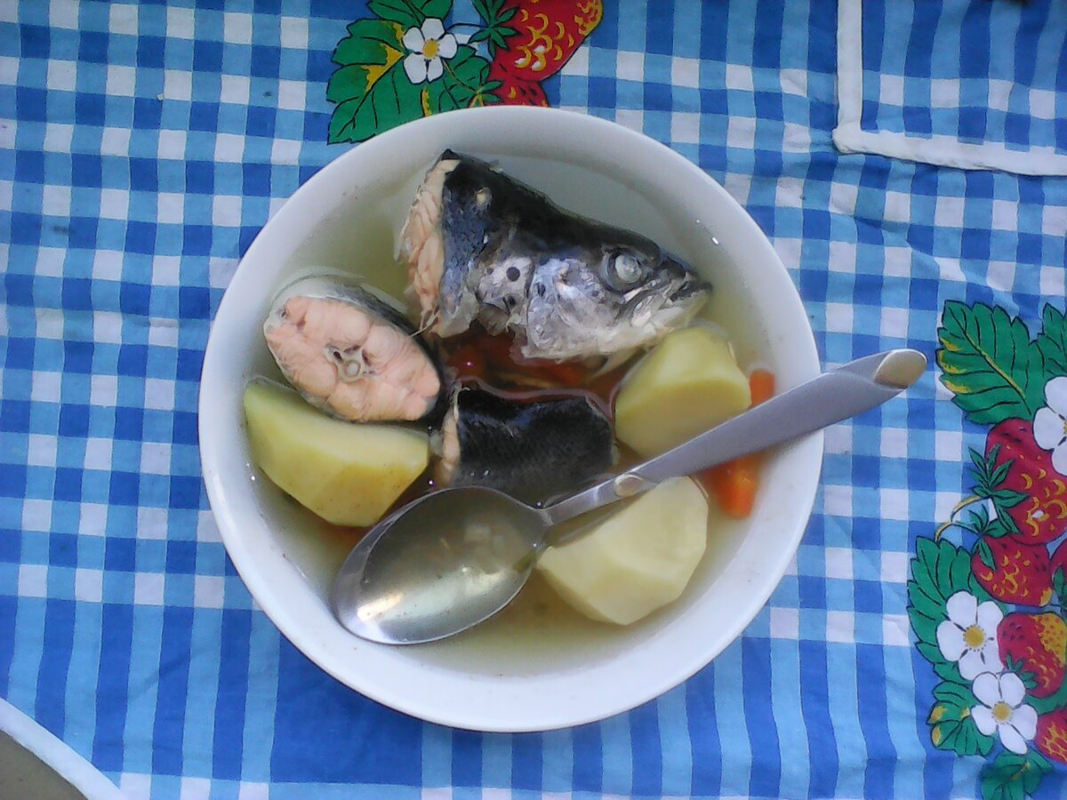 Уха - отличное, сытное, горячее блюдо! 