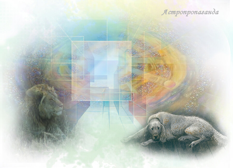 Коллаж Нины Стрелковой.