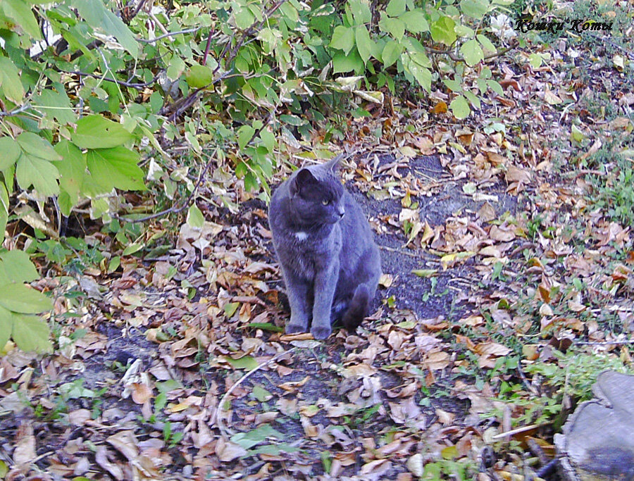 Фото автора.