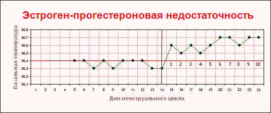 Оренбургское региональное телевидение