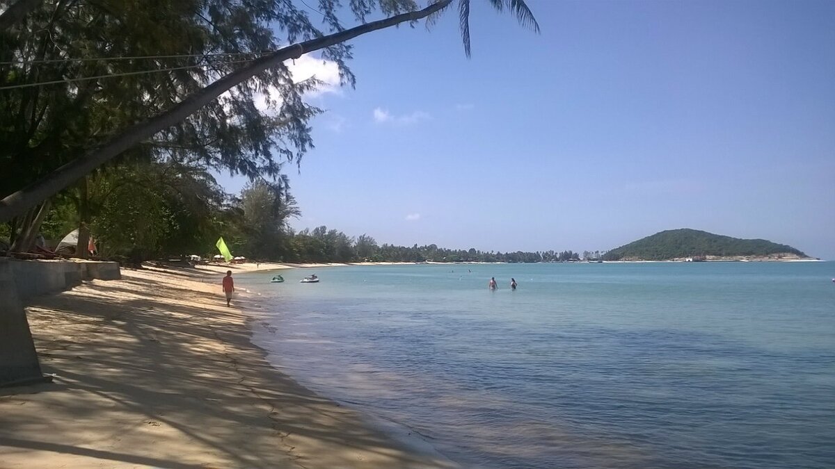 Пустынный Липа Ной