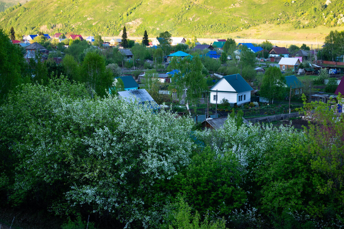 Деревни алтайского края фото