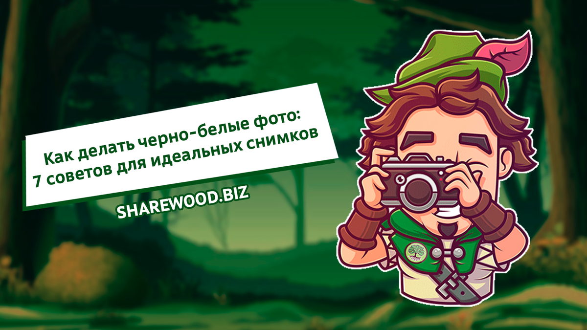 Sharewood. SHAREWOOD Anderson an Awakening.