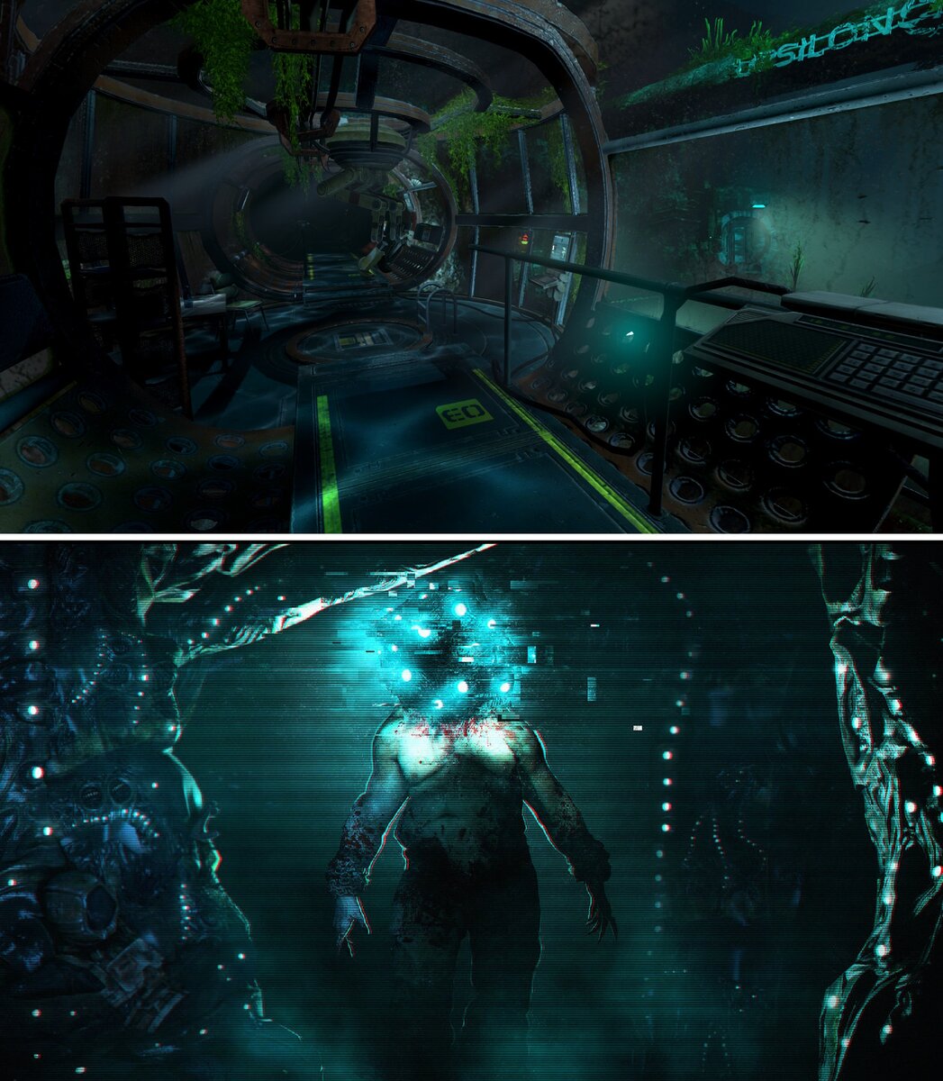 Фото из открытого источника. 