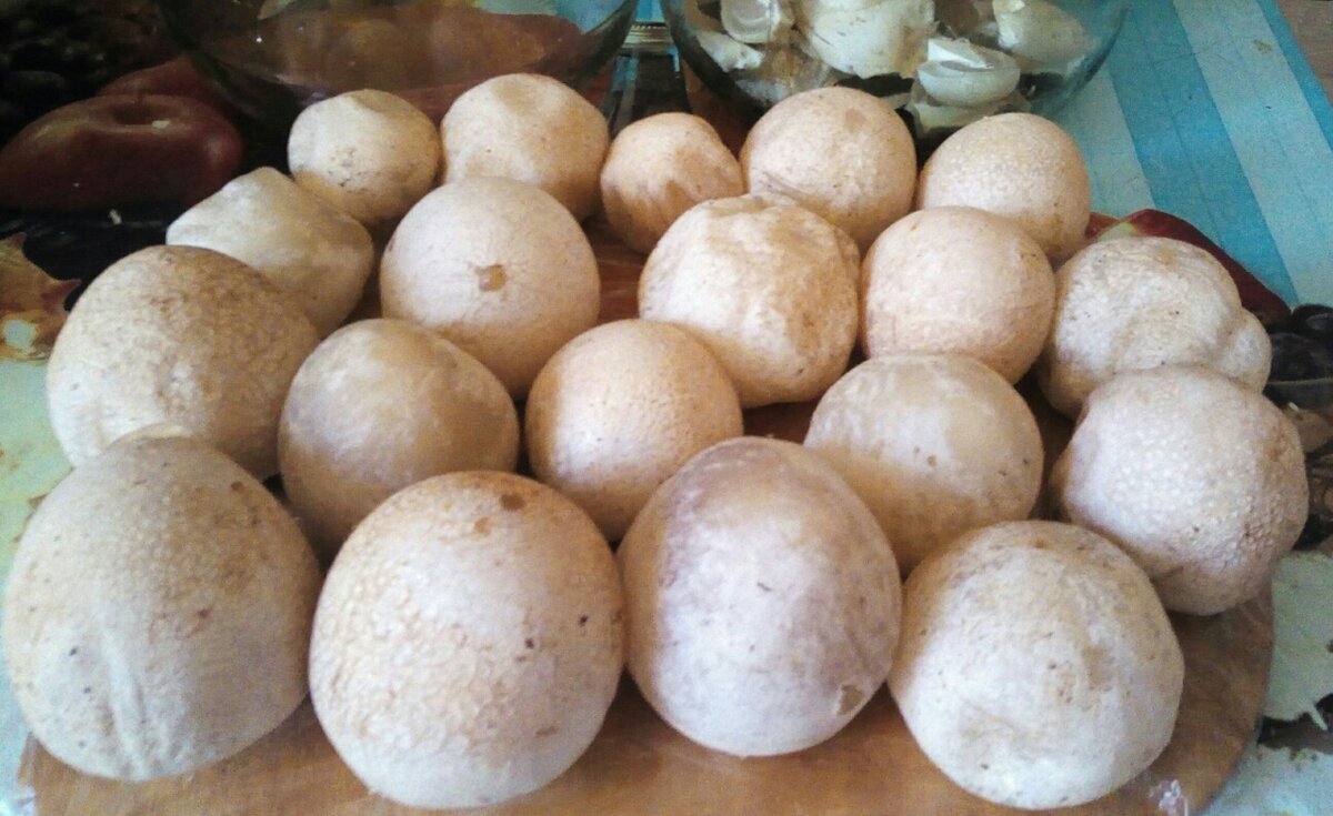 фото из Контакта,Смоленск,Стабна.Яйца веселки,потом они раскрываются и получается фаллосоподобный гриб.