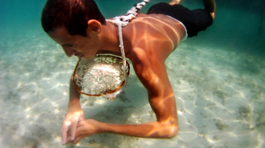 Ловцы жемчуга. Каким должен быть результат тренировок ловцов жемчуга. Трансформация тела по этапно. Результат тренировок за 3 месяца. Результат тренировок.