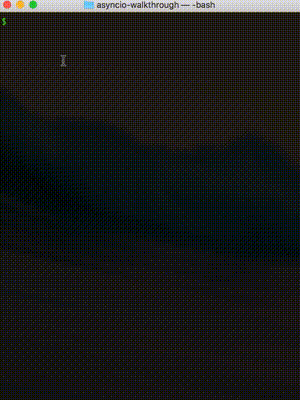 rand.py execution