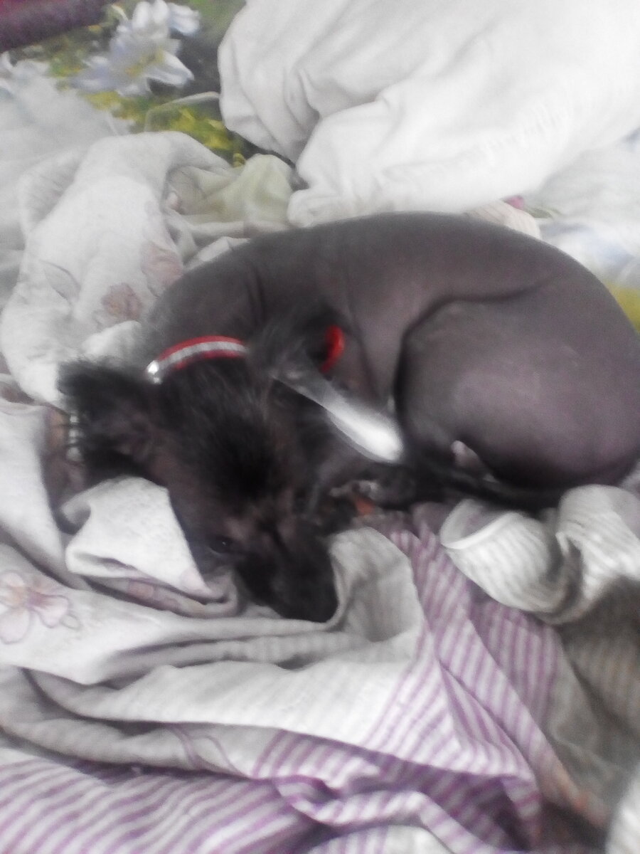 Это она, любимая.