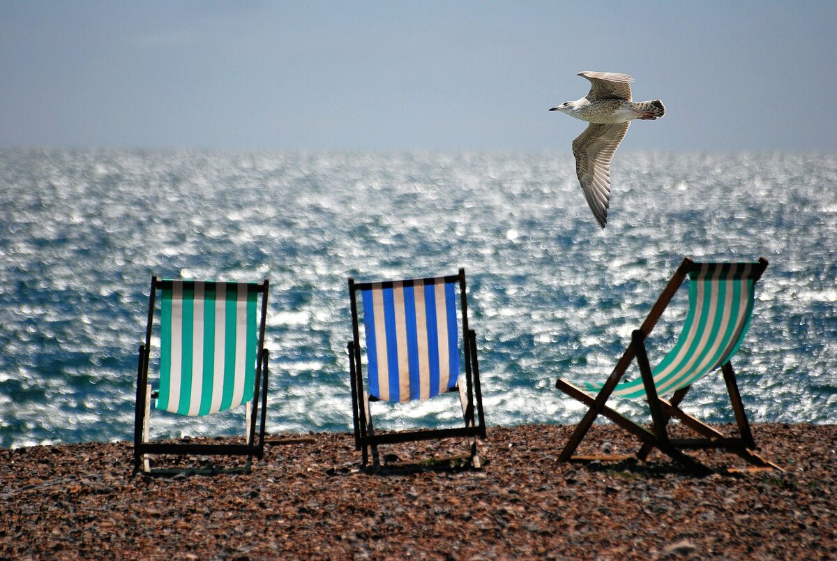  фото с pixabay.com 