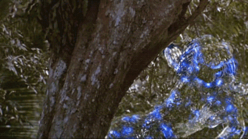 Из свободных интернет источников.