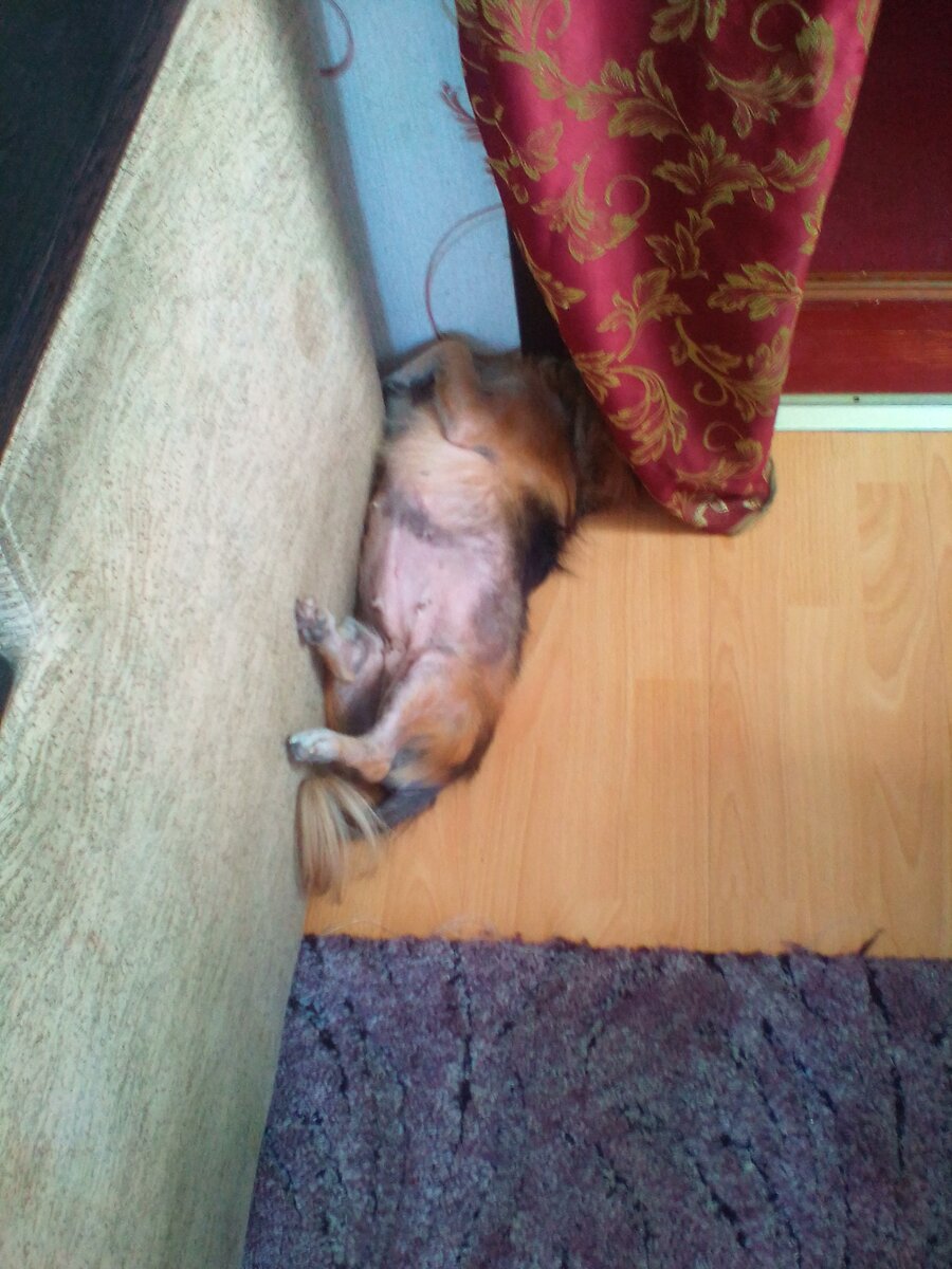 Видеть никого не хочу- дайте поспать!))