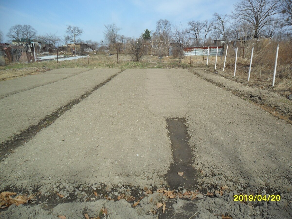 Засыпка первой борозды