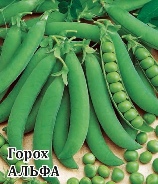 Альфа (сахарный)