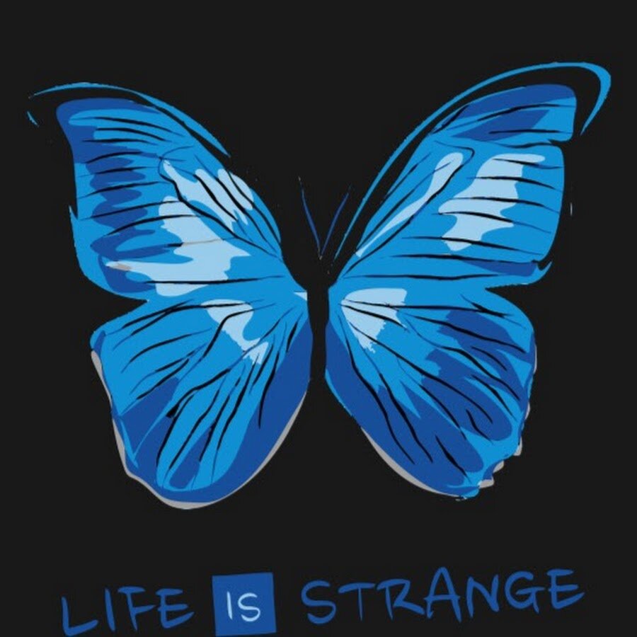 Все проблемы из-за синих бабочек