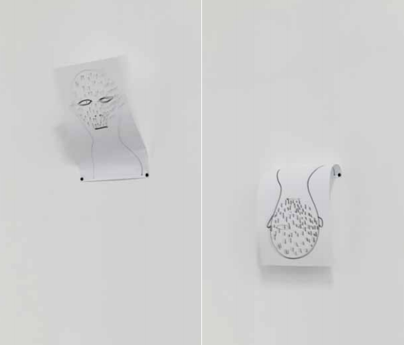 квантэк пак "швейцар"