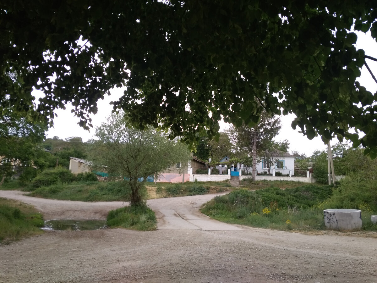 виды нашего села