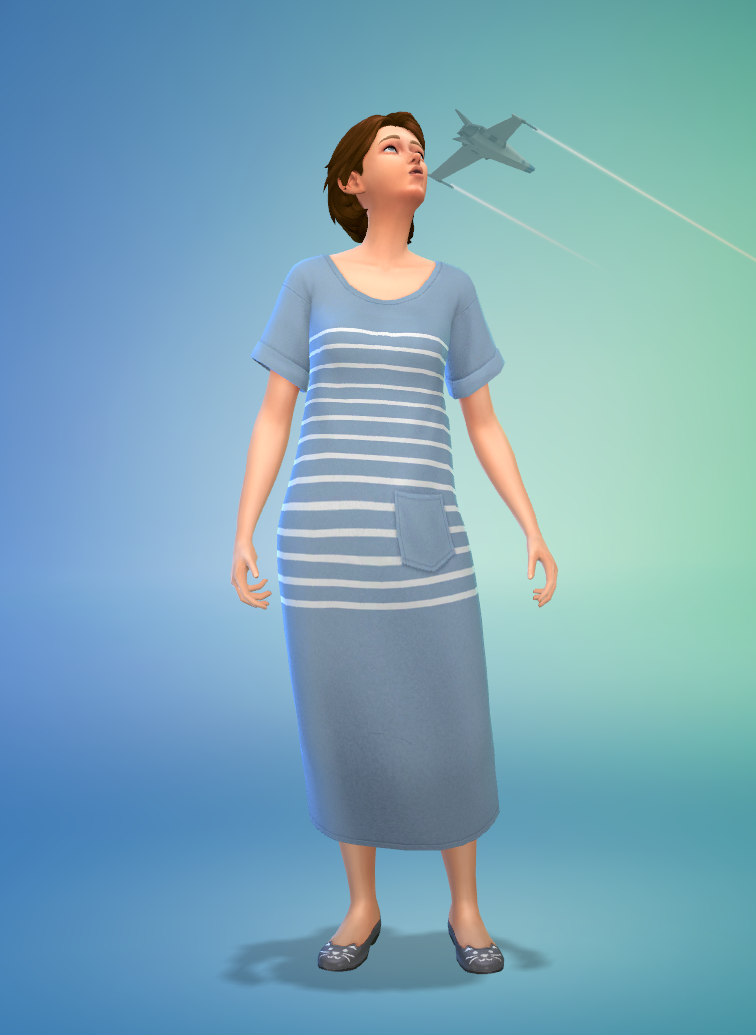 Люблю котиков и самолёты