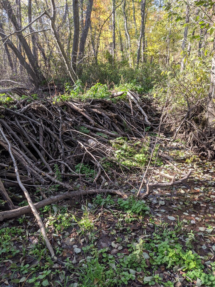 оренбургская область