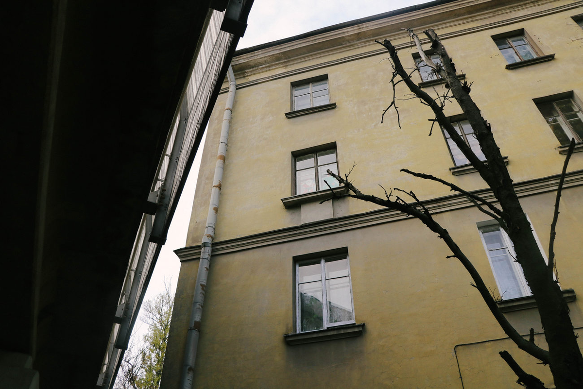 Рябовское шоссе, 109