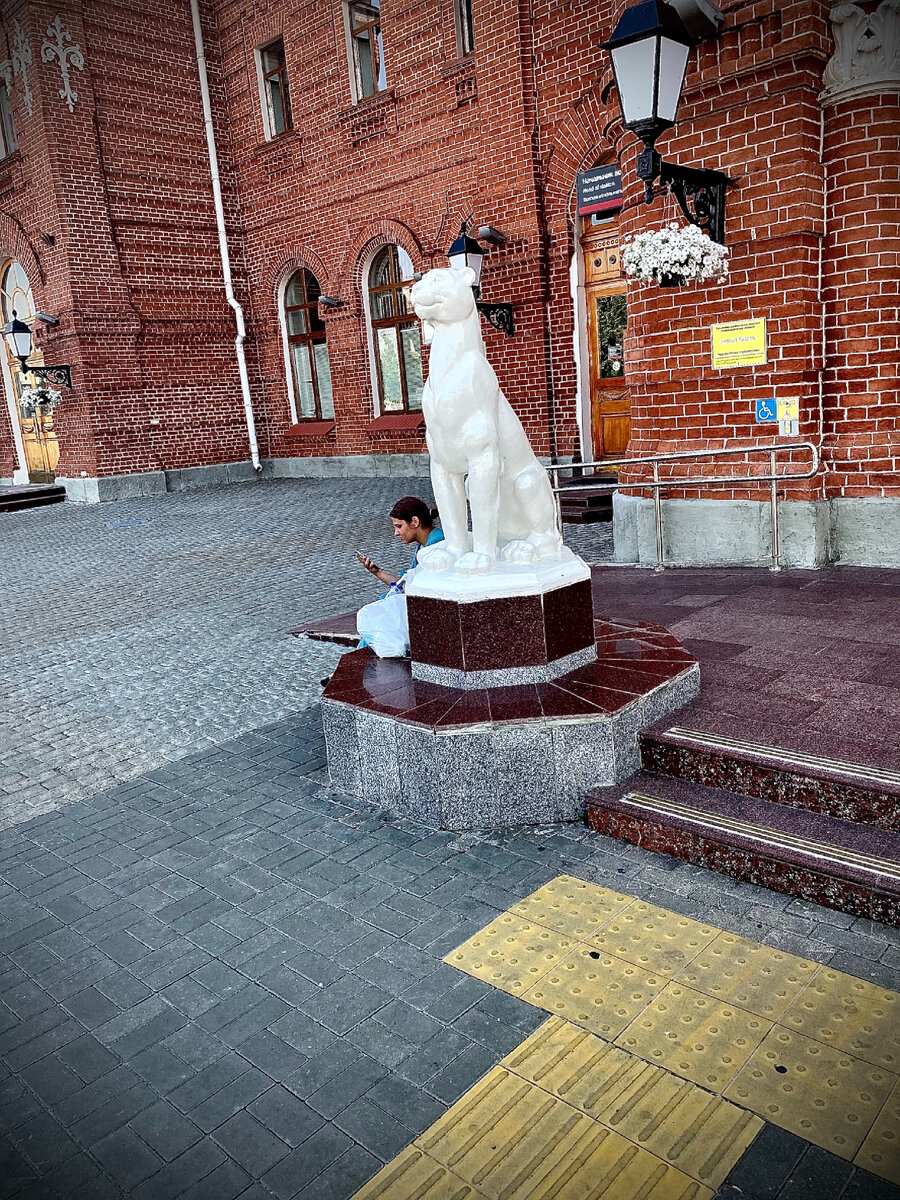 Фото,чтобы разбавить статью