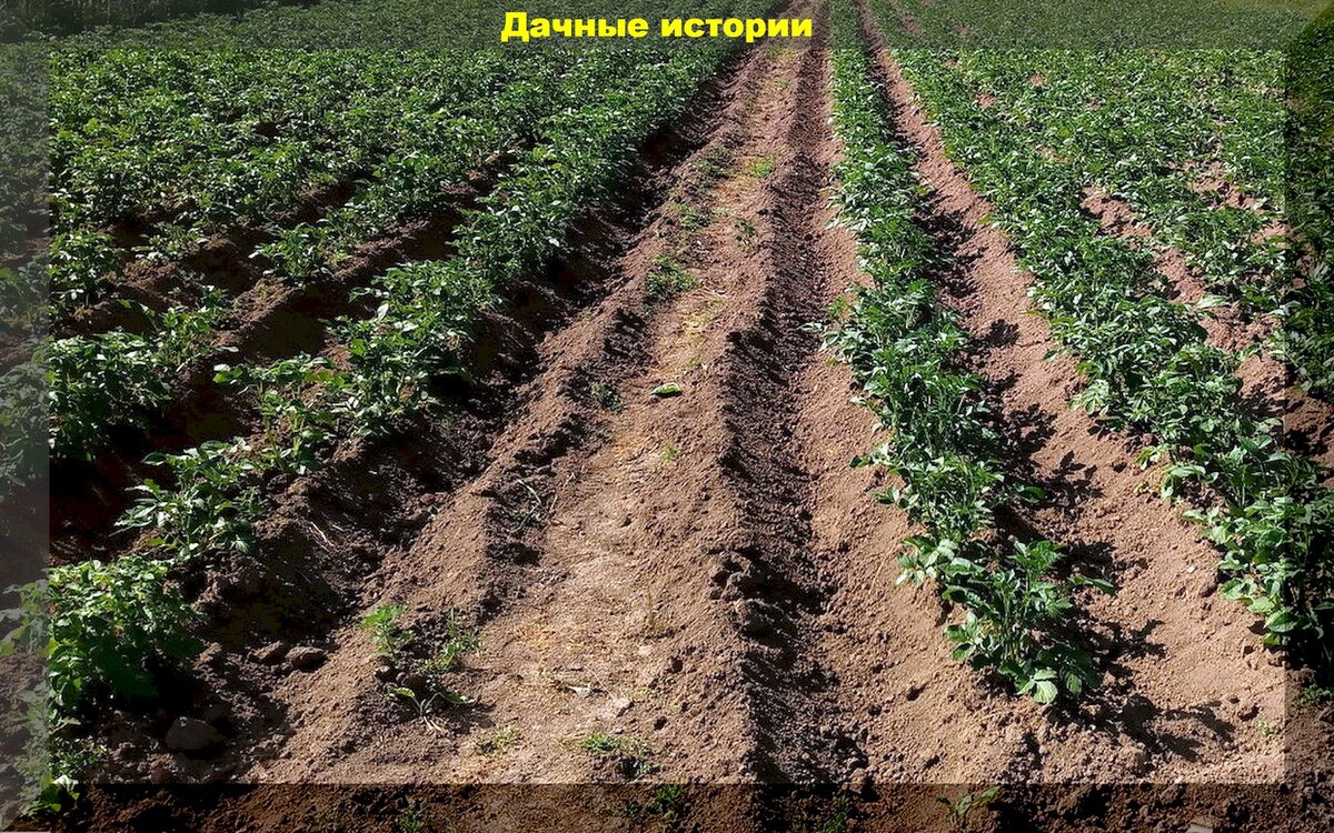 https://vk.com/photo-159774511_457248961