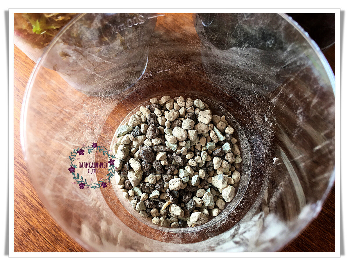 Лечуза. Не обходится ни одной статьи у меня с её упоминанием, чтобы кто-нибудь не прибежал обвинить меня в рекламе :)) Специально разместила подальше в галерее, чтобы даже "рекламодатель" не нашёл 😂😂😂 На следующей фотографии препараты. Листайте, плиииз. ⏩⏩