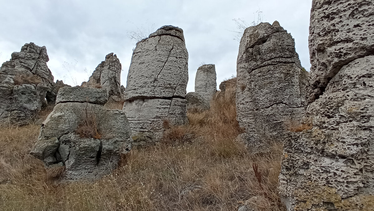 Каменный лес хакасия фото На прогулку в Каменный лес Грибные истории Дзен