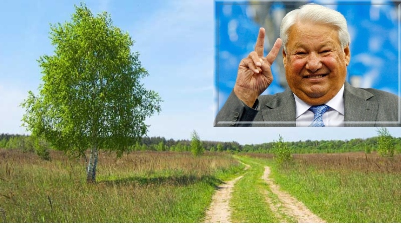 фото из открытых источников