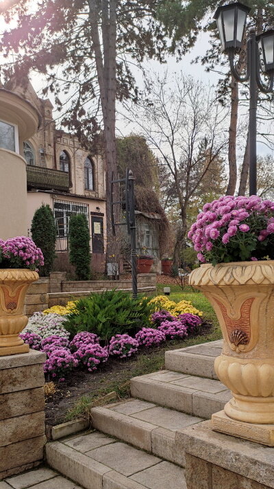 Курортный бульвар. Кисловодск.