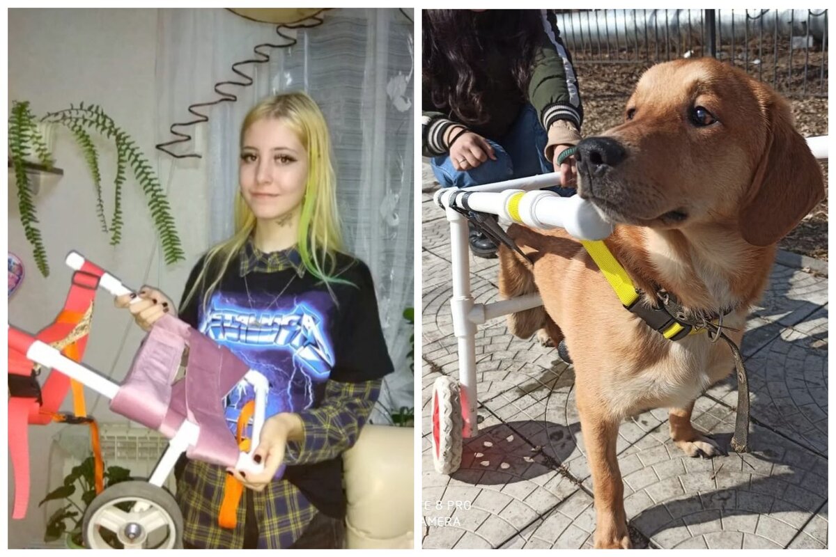 Фото: Кристина Станкова