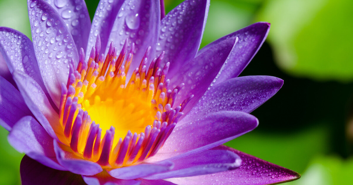 Фото: ru.freepik.co