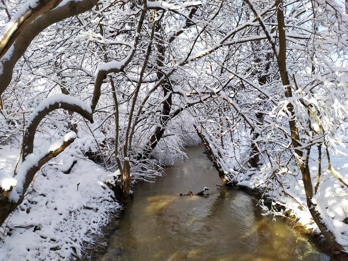 Что успело произойти до первого серьезного снега?
