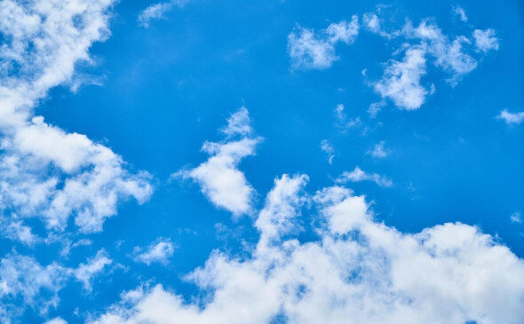 Фото: pixabay.com 