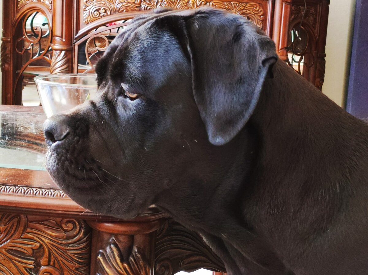 Нора Антоновна печально слушает программу бала. Фото автора.