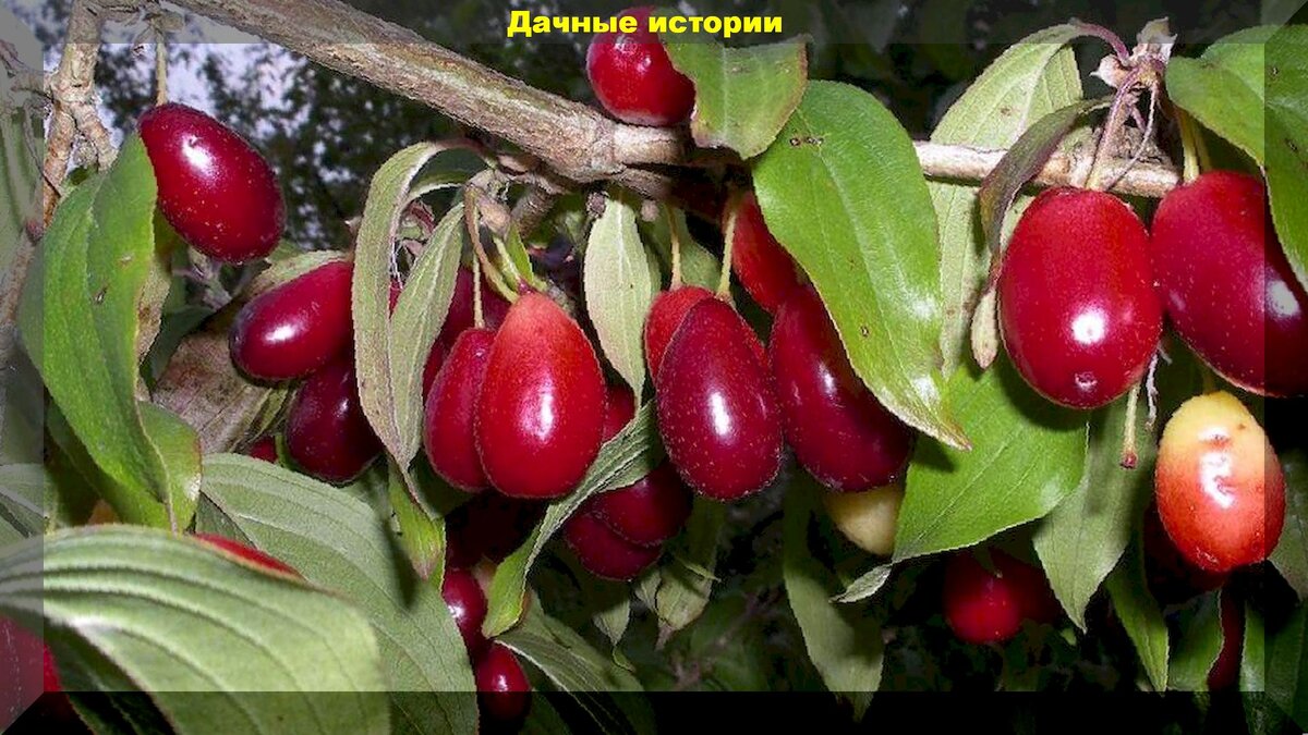 https://vk.com/photo-159774511_456241650