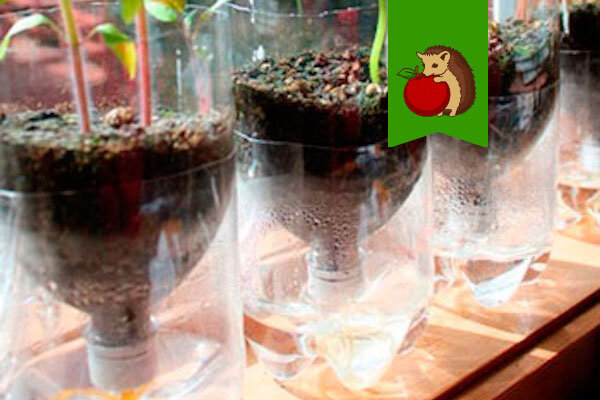 Фото: http://rem-stroitelstvo.ru/wp-content/uploads/2016/04/podelplast11.jpg