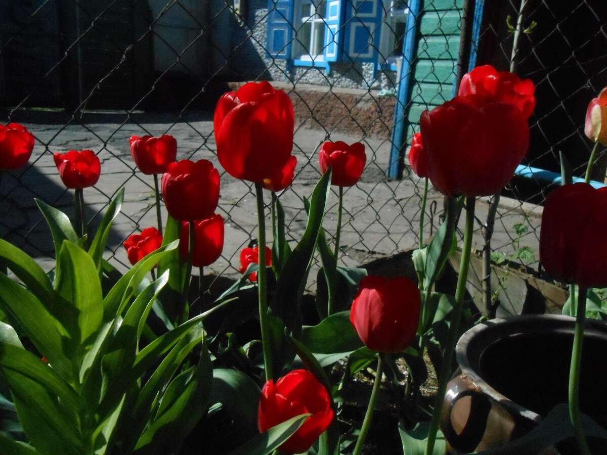 Фото из личного архива автора. Новороссия, Боково-Платово