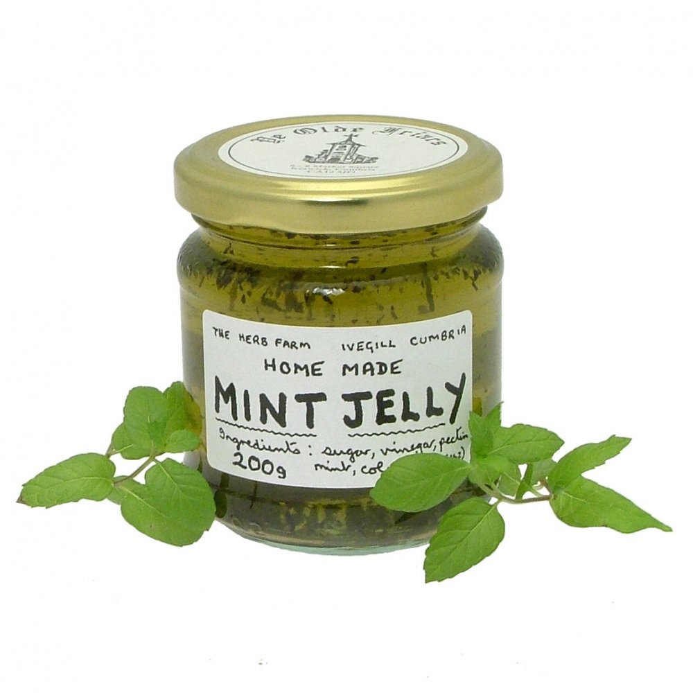 Источник: ruwimgt.pw 