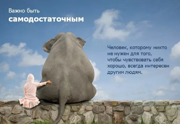 Фото Яндекс. Картинки