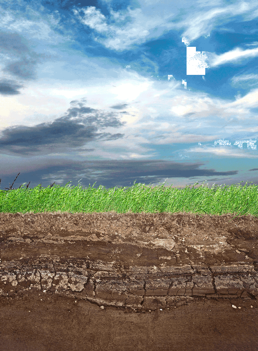 Задержитесь на картинке для запуска анимации 