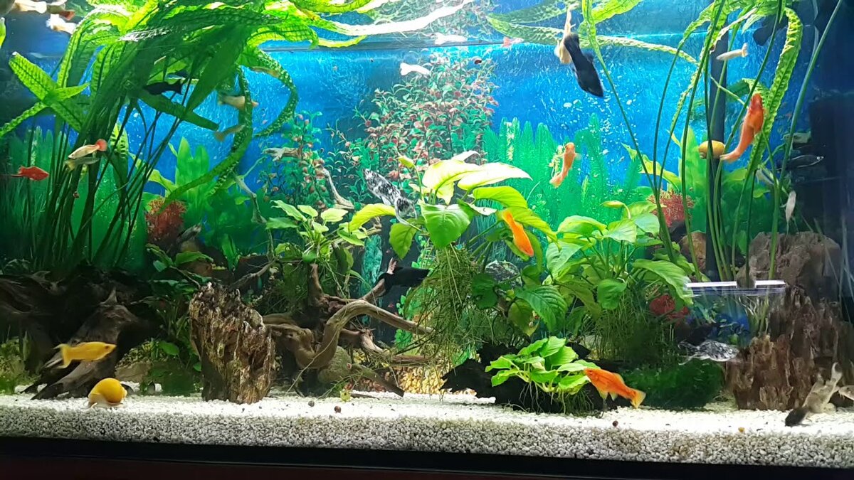 Источник фото: youtube.com