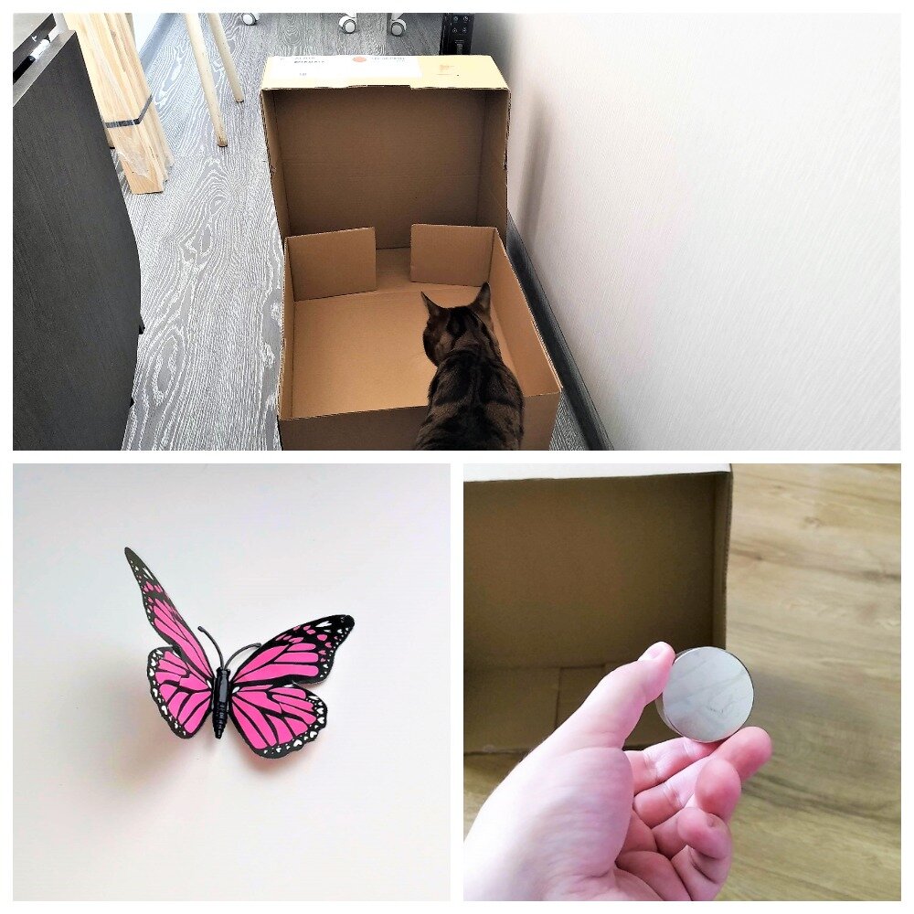 Пустая коробка от стула из "Ikea".