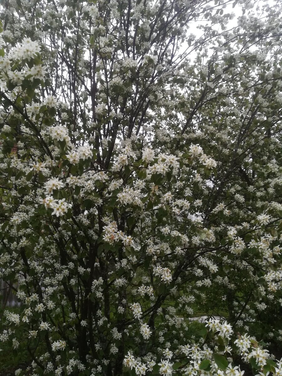 фото: собственное