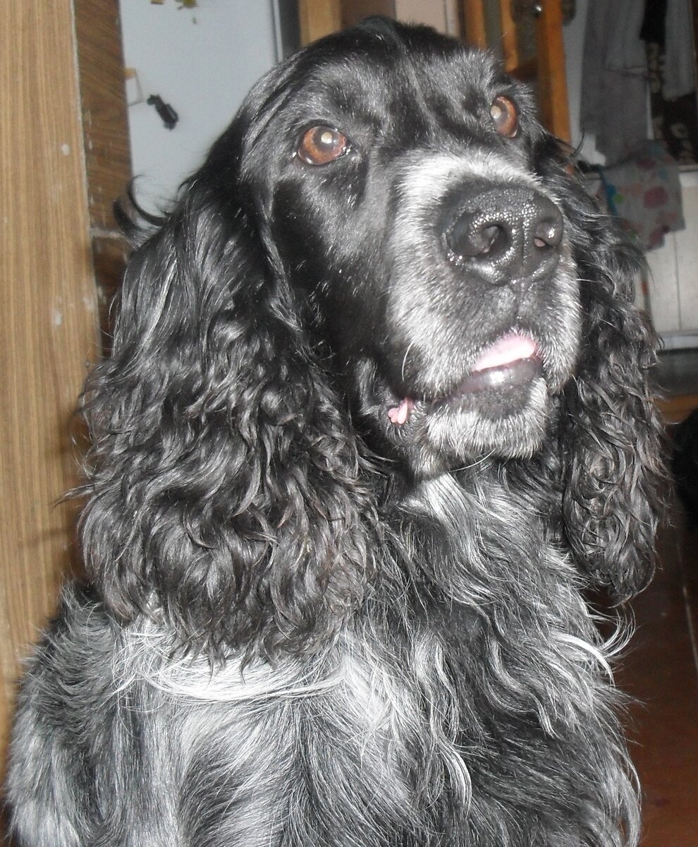 А вот уже и я.