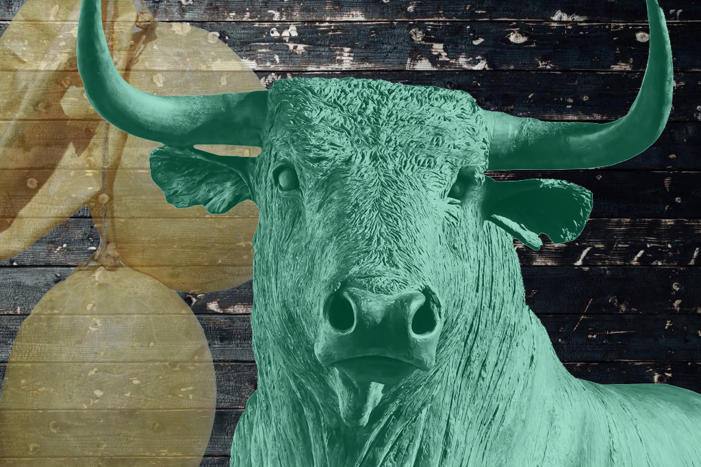 в этой обложке зашит смысл статьи, но если Вы ещё не знаете ответ, тогда читайте (приведу ряд интересных фактов)