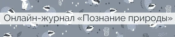 Онлайн-журнал "Познание природы" создан для публикации только качественных и интересных фактов об окружающем мире. Подписывайтесь, чтобы быть в курсе актуальных новостей и фактов из мира природы. 