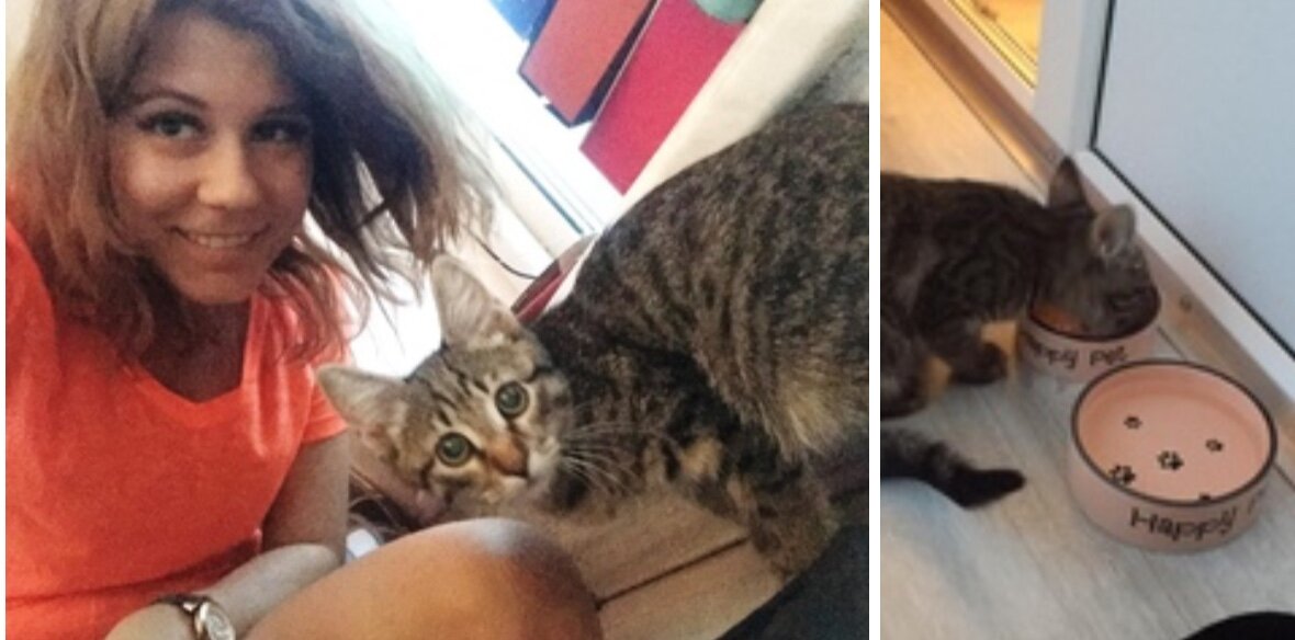 «А мы приехали домой) И уже ужинаем)»