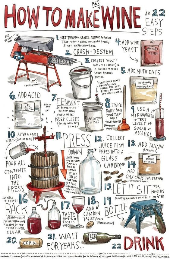 Памятка начинающему виноделу с просторов Pinterest https://www.pinterest.ru/pin/208924870200393036/