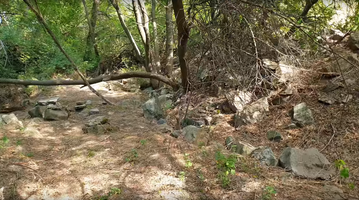 Хвосты старого прииска.