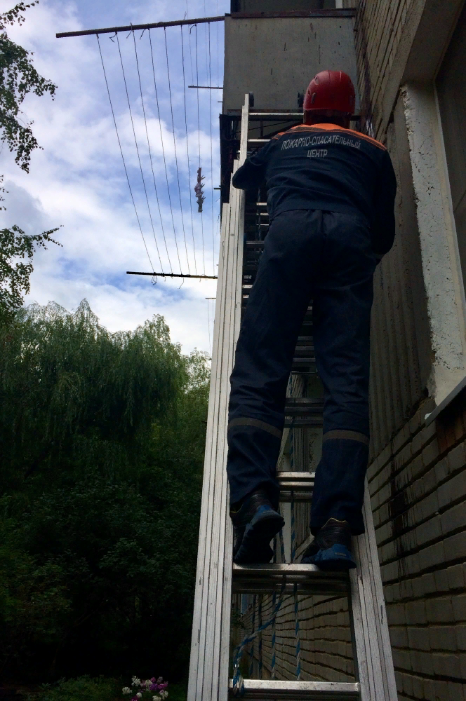 Источник фото: pozhar.pnzreg.ru